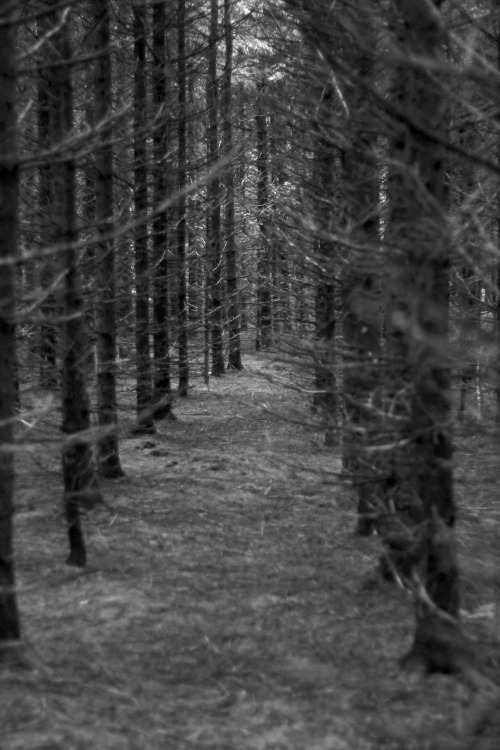 DARK&NESS..