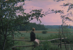 andreii-tarkovsky:   The Mirror (1975)  Dir. Andrei Tarkovsky   