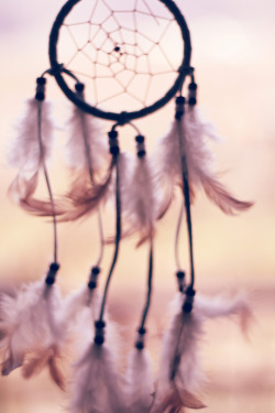 Dream Catcher