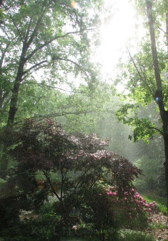 etherealclit:sun showers are so pretty!
