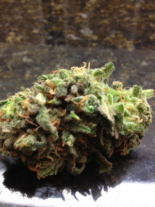 leneanme: Blue Cheese
