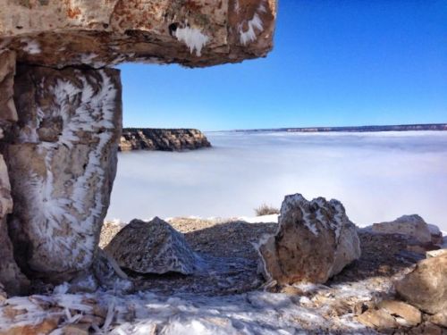 sixpenceee:The Grand Canyon Fills with Clouds in a “Once in a Lifetime” EventThe Canyon came to be filled with fog due to what’s known as a “temperature inversion,” a phenomenon whereby warm and cool air (which typically reside at lower and