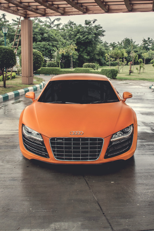 classyhustler: Matte Audi R8 | photographer