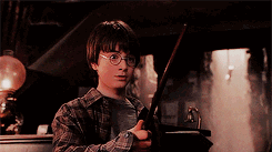 Harry Potter Daily