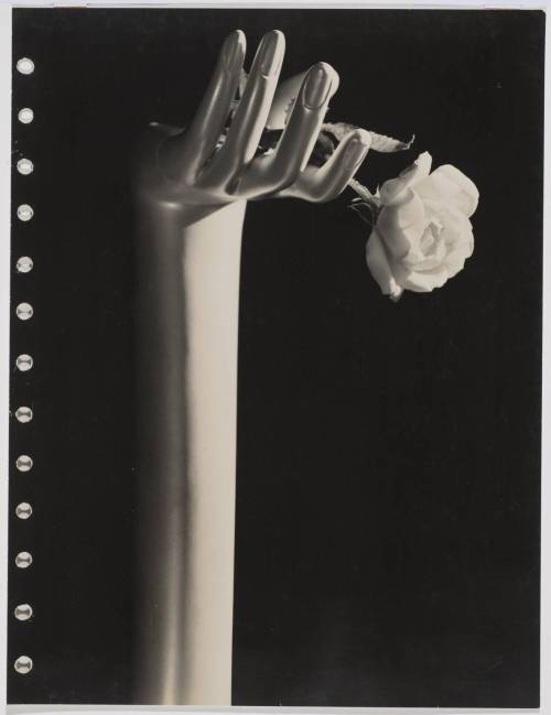 Ryukichi ShibuyaUntitled (Advertising photograph, mannequin hand and flower) ,c.1936