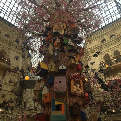 Loved the bird boxes designed by the shops! #GUM #ГУМ #москва #красота #Moscow #shopping #beautiful 