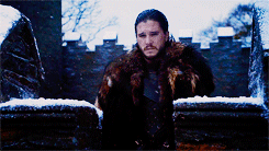 dreamofspring:   Jon Snow in The Winds of Winter 