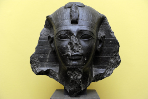 Diorite bust of Amenhotep II. New Kingdom, 18th Dynasty, ca. 1427-1400 BC. Now in the Ny Carlsberg G