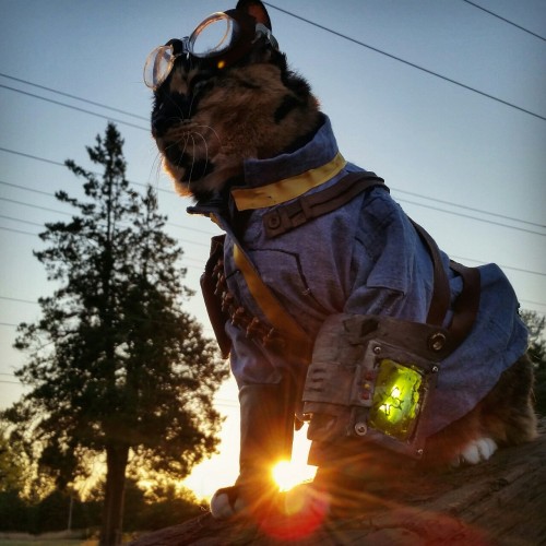 cat-cosplay:Thank the heavens that they never figured out how to bottle the sunset…#EarthDay