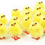 ficklefowl