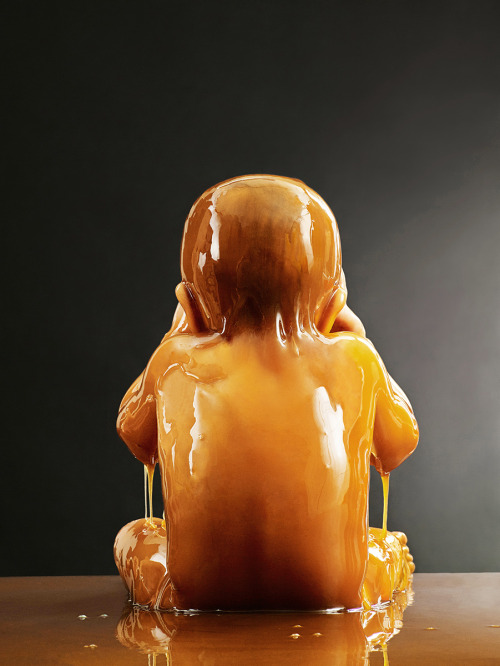 ltd-knwldg:  Blake Little - Preservation (Book)