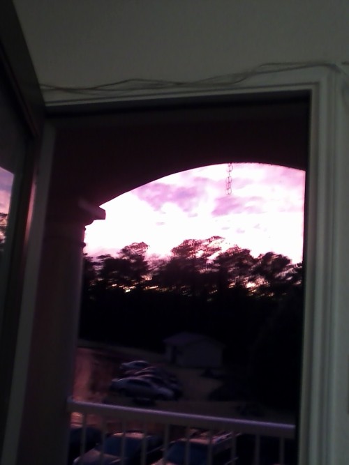 Sunset from my porch door. It was PRETTY!  (photos from celticnightmare’s phone, so not as pretty as IRL, but still PRETTY)