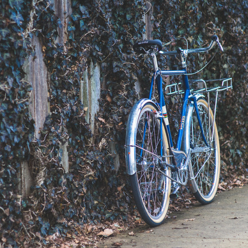 veloorange:Our favorite view for fender’d bikes!
