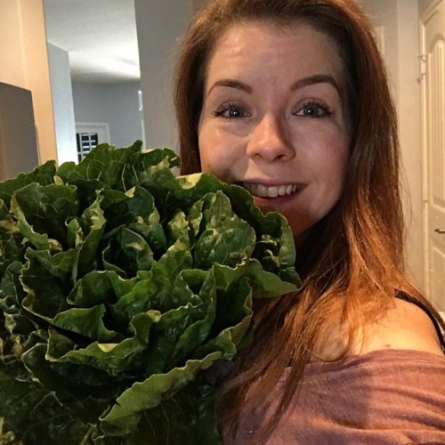 Now THATS some Romaine Lettuce!! . . . #romainelettuce #romaine #salad #cleaneating #eatinghealthy 