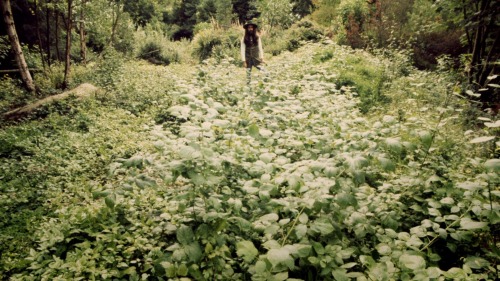 George Harrison in the grounds of Friar Park (1970) [click to enlarge]Photo from: Living in the Mate