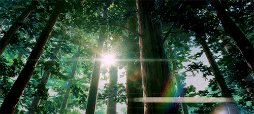 animeshojo: Kimi no na wa  (Your Name)