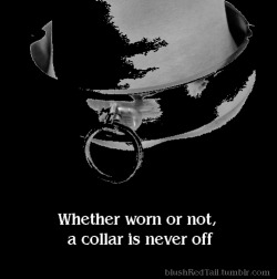 marquiseoftease:  “Being collared ” is much more than “wearing a collar ”