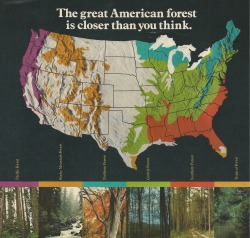 Sex-Mudandjeepsthatroll:  Ithinkyouknowiloveyoualot:  No Forests For Wyoming  Do