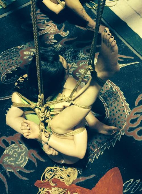 gorgone-kinbaku:Rope & pictures : GorgoneModel : GigglesF.I.R.E. 2015