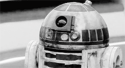 rosecutietyler:  star wars; episode 1 the phantom menace (1999) 
