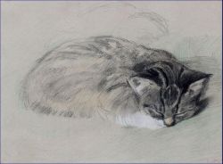 wasbella102:  “Cat” ~ Drawing by Cornelis Rudolf Hendrik   