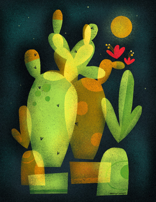 terryrunyanillustration: MOONLIGHT CACTUS–Terry Runyan Shop:  society6.com/produc