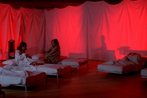 gay8:  “Bad luck isn’t brought by broken mirrors, but by broken minds.” Suspiria (1997) directed by Dario Argento
