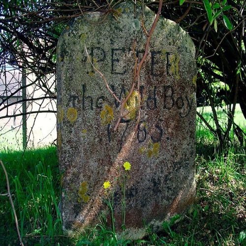 Peter the Wild Boy 1785… “a feral 12 yr old found in the German forest in 1725. Peter walked on all fours, ate grass & leaves and never learned to speak.He was bought to London and lived at the castle,virtually a "pet”. He