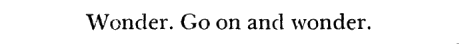 aseaofquotes:William Faulkner, The Sound and the Fury