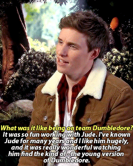 professorlupins: Clips of Eddie Redmayne *not* talking about Fantastic Beasts: The Crimes of Grindel