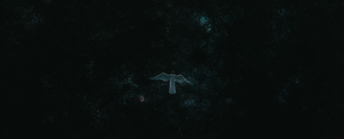 Alright, Not To Be Too Predictable, But I Wanna Talk About Space And Color As It's Used In The Intro