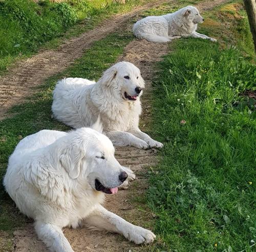 Resting On The Job