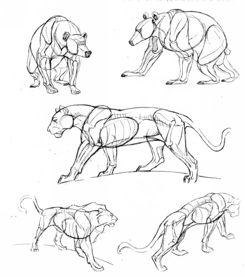 If You Love Animals Or Drawing Then You Should Add This Book To Your Collection. The Art Of Animal Drawing