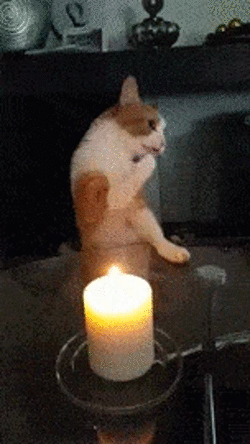 jaidefinichon:  Quiero comer fuego *w*
