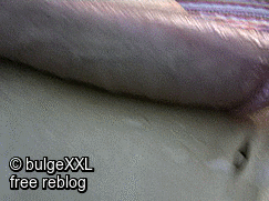bulgexxl:  DOWNLOAD my VIDEOS FREE to reblog!!! 