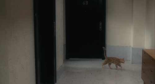 cinemawithoutpeople: Cinema without people: Inside Llewyn Davis (first pass, with cat) (2013, Joel and Ethan Coen, dir.)