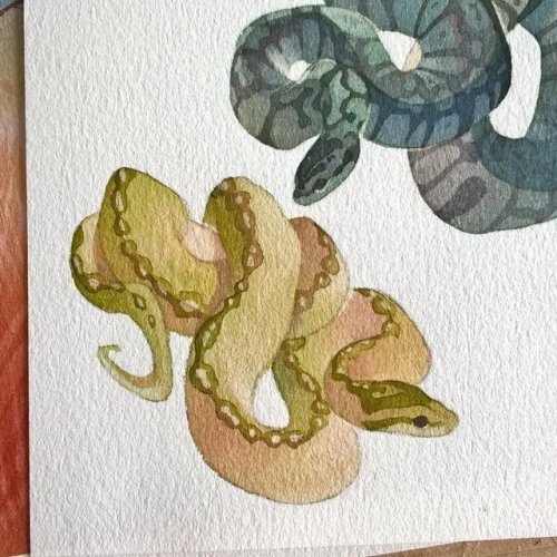 rozenn-blog:Snakes! They’ll be available as stickers on my shop soon!Whitenights watercolor, colorex