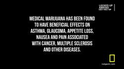 weedporndaily:  Medical Marijuana has been