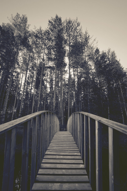 plasmatics-life:   Bridge to unknown ~ By