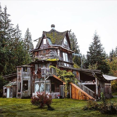 Sex cabinsdaily:  Featured cabin 🌲 pictures