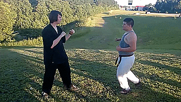 heroofomegle:  Shaolin Bird Kung Fu (video) 