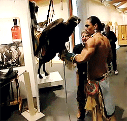the-goddamazon:  eurotrottest:  baddygirl-2:  the-vinsomer:  countessnoir:  Look how big that things fucking wings are!  I’m not reblogging this because of the effin’ bird  fuck the bird look at that fine ass man   Yeah Imma need a link to this video.