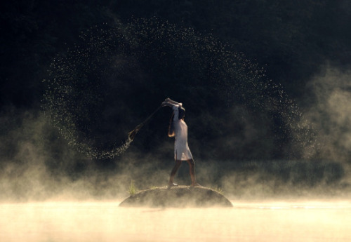loverumiandarts:  The way of love is not  a subtle argument. The door there  is devastation. Birds make great sky-circles  of their freedom.  How do they learn it? They fall, and falling,  they’re given wings.ღ.*.Rumi.*.ღ