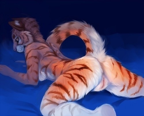 sunthekitten:  Tigers~ 