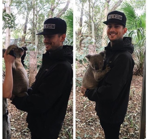 Pierce the Veil at Lone Pine Koala Sanctuary!