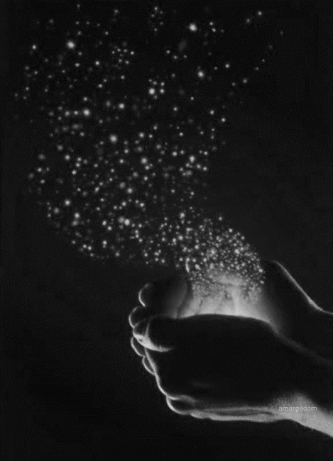 ✨