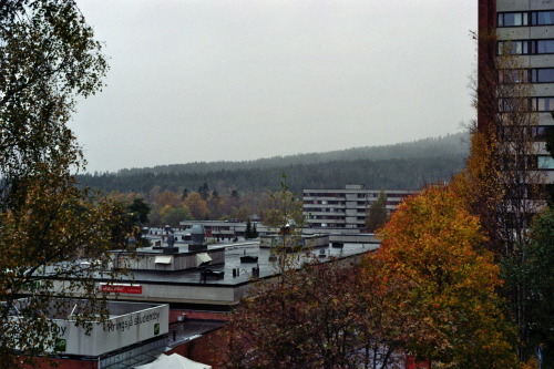 Taken at my home for a year, Kringsjå, Oslo, Norway. 35mm colour film, taken with an Olympus OM-10