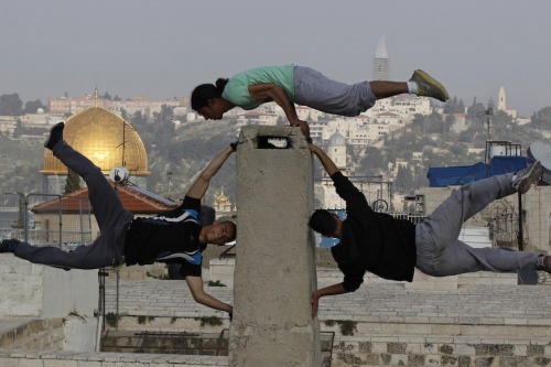 standwithpalestine:Palestinian youths practice their parkour skills in Jerusalem’s Old City, Februar
