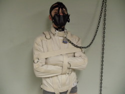 uptopuppystuff:  1gearup:  I had to put a muzzle on him to stop him from complaining about having to stay chained up all night to the wall  Would love to do this! 