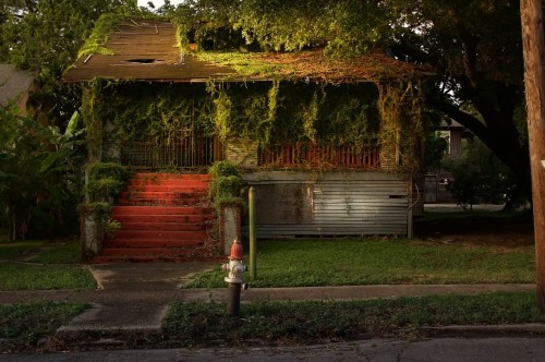 “A former home in New Orleans’ St Claude neighbourhood is slowly reclaimed by nature” Photograph: Se
